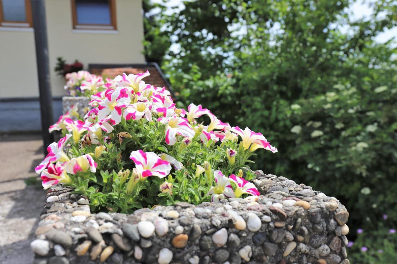 Gaestehaus Willaringen Rickenbach  Екстериор снимка